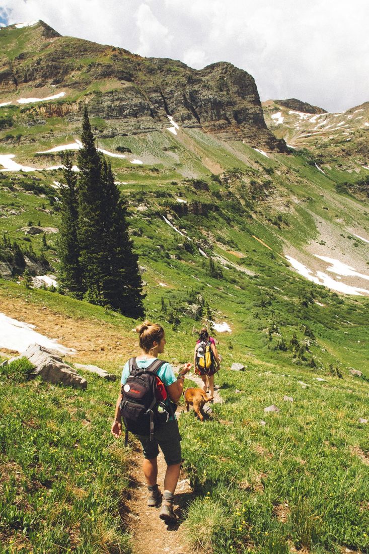 Two hikers climbing a green mountain trail